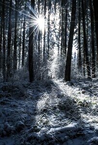 Nature landscape cold