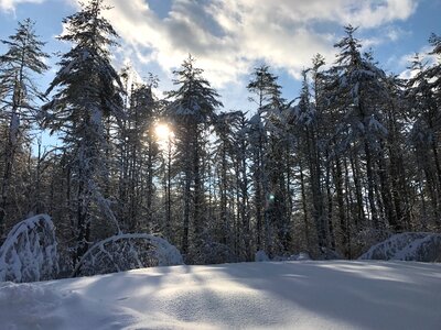 Cold landscape winter photo
