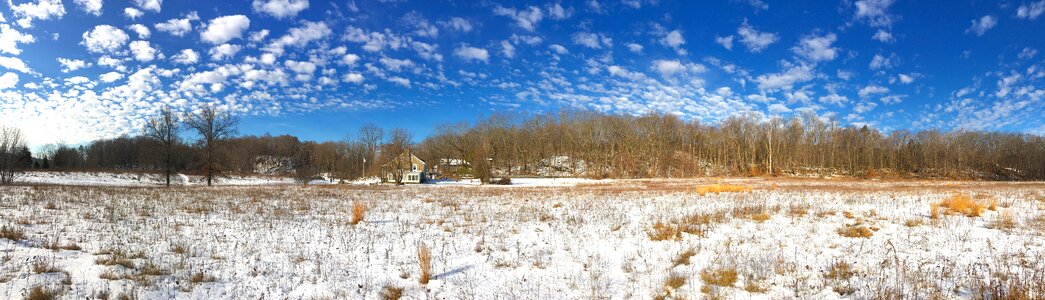 Winter cold season