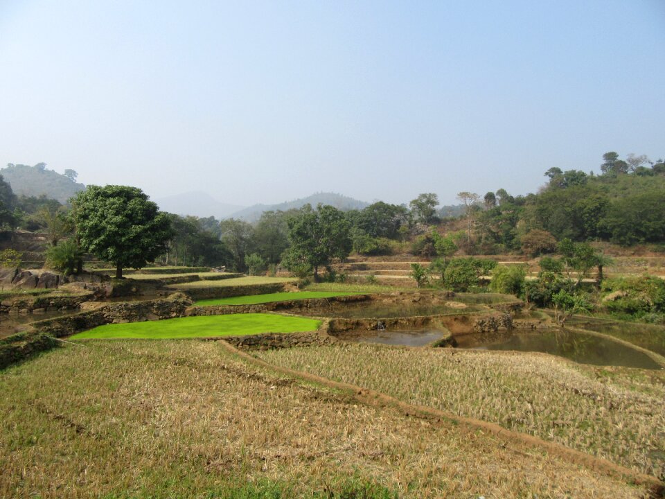 Farm agriculture nature