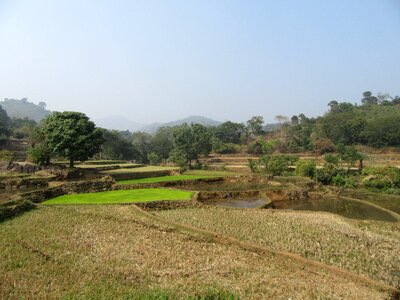 Farm agriculture nature