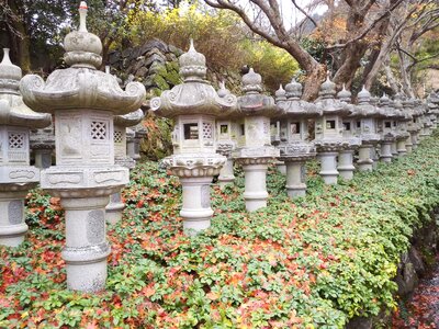 Temple landscape autumn