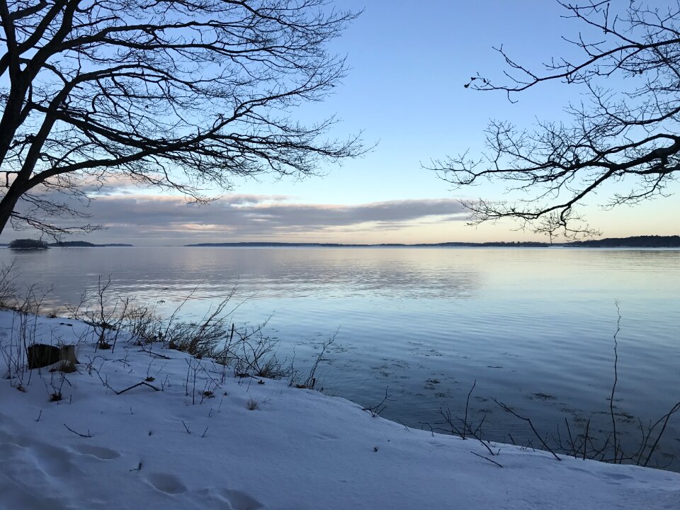 Snow nature cold photo