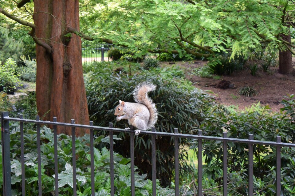 Park natural nuts