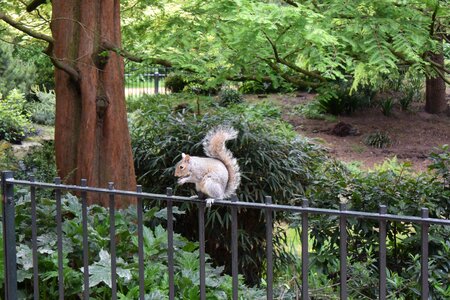 Park natural nuts