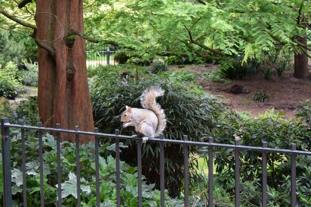 Park natural nuts photo