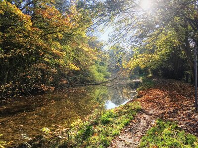 Canal wendover morning