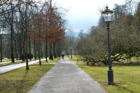 Baden baden park nature