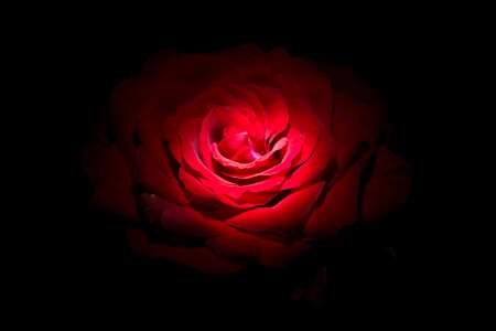 Black brillante love