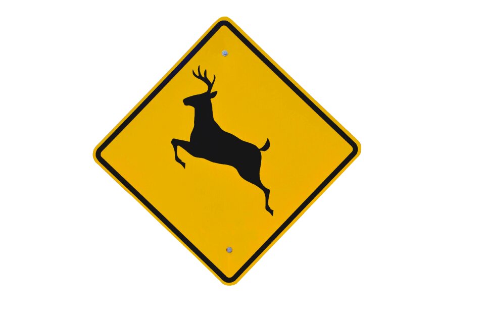 Caution deer symbol