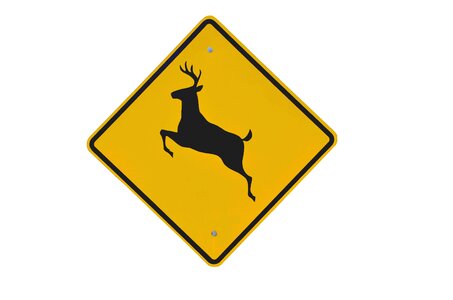 Caution deer symbol photo