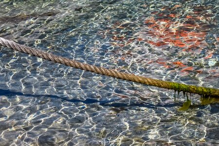 Sea clear transparent