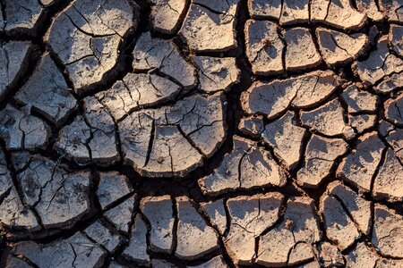 Nature dry arid