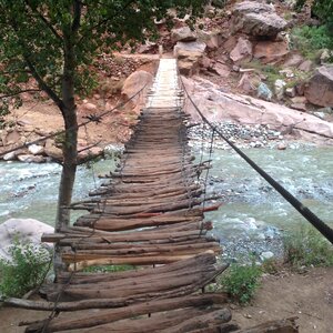 Rickety river nature