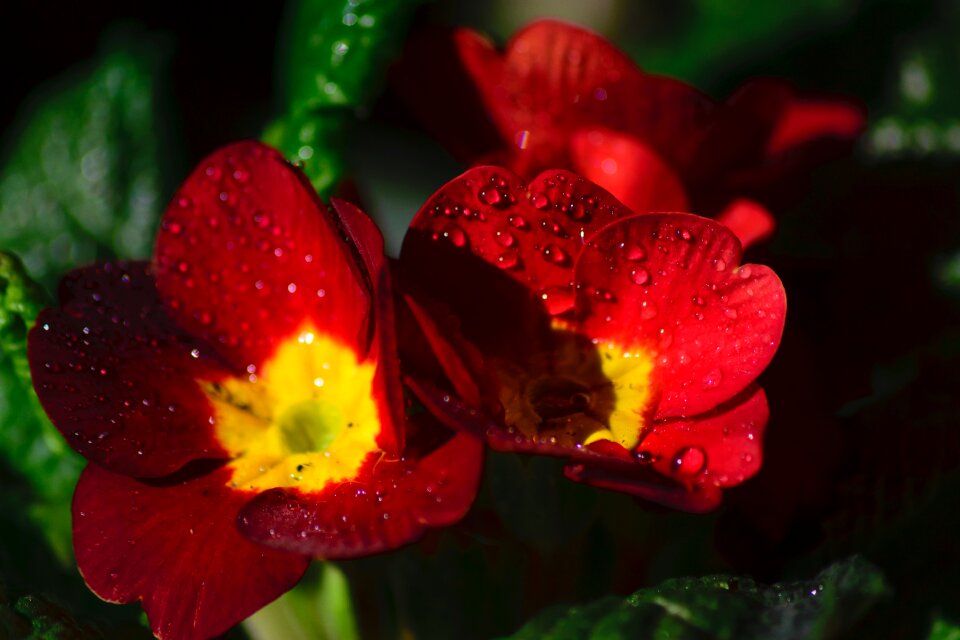 Bright color colorful