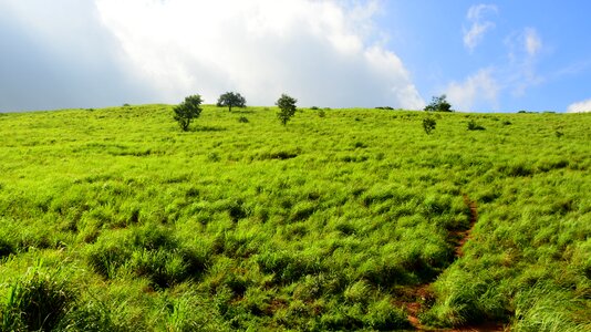 Landscape kerala india photo