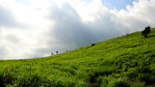 Green sky landscape