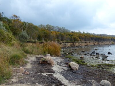 Beach cliff baltic sea photo