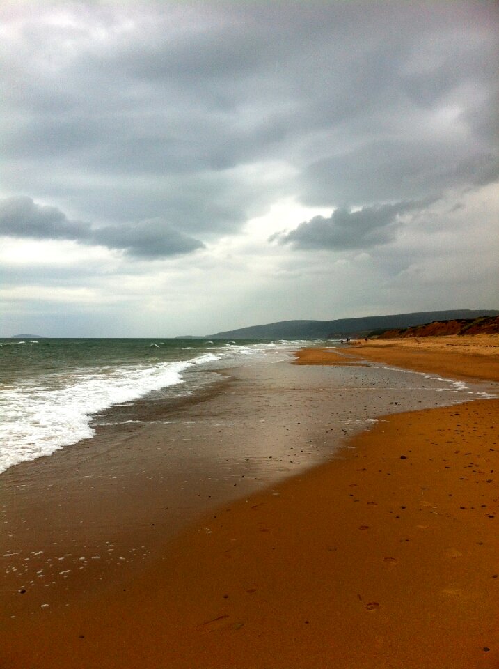 Nature summer wave