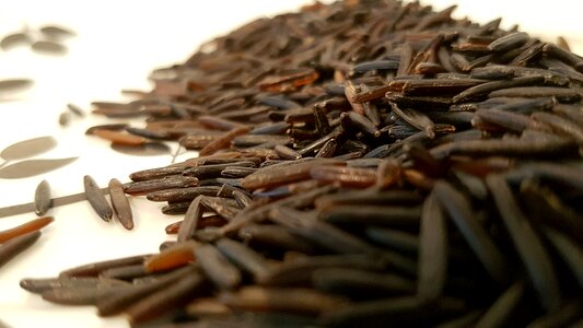 Organic vegetarian ingredient
