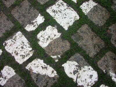 Pavers road soil