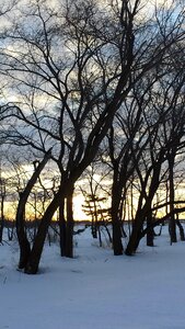 Sunset light