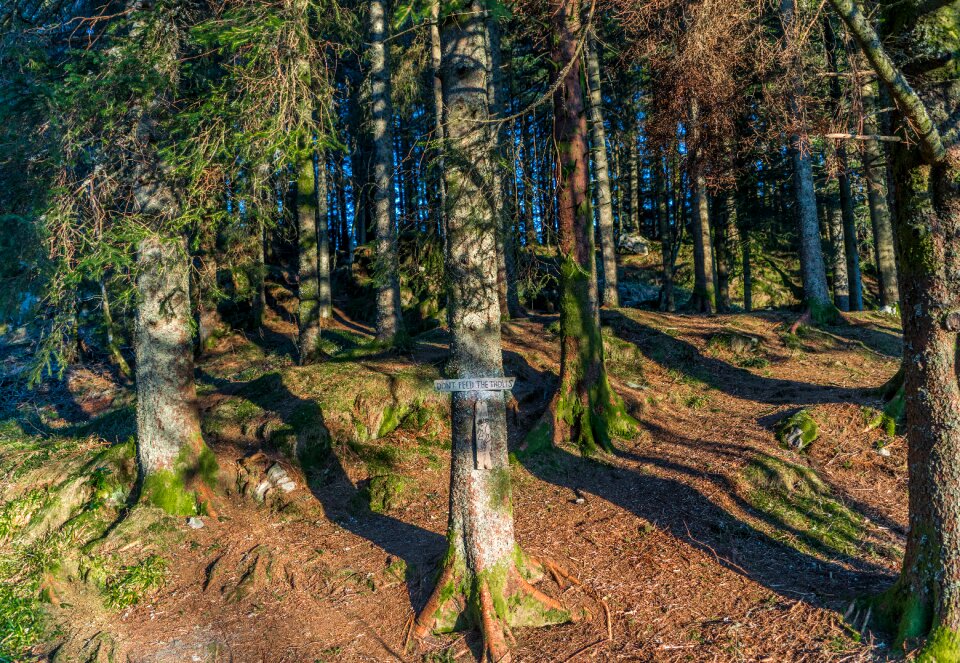 Nature sign landscape nature