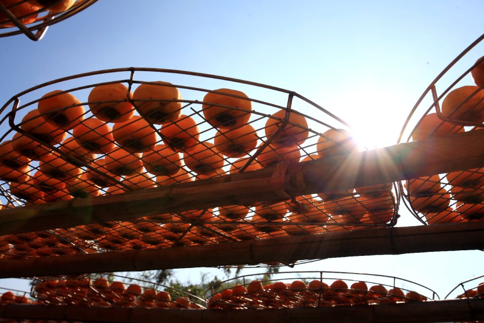 Chinese dry orange fruit food