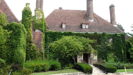 Vines illinois evanston