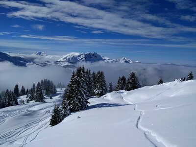 Cold scenic ski