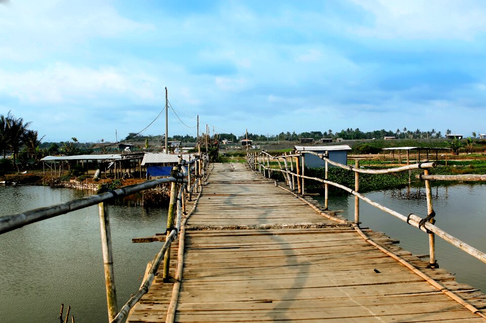 Bridge bamboo tour