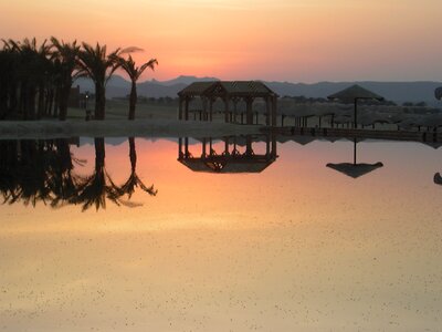Atmosphere palms landscape