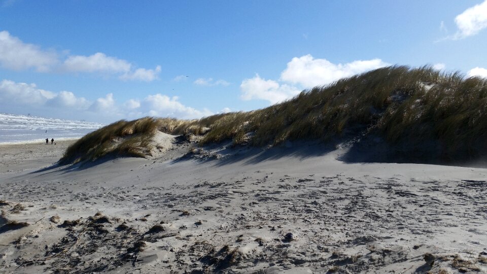 Beach dunes north sea photo