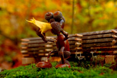 Forest figure funny