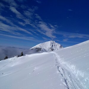 Cold scenic ski