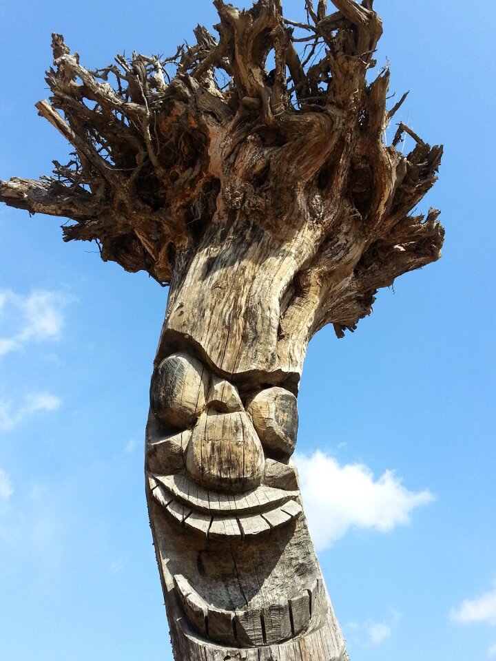 The korean totem pole totem genius
