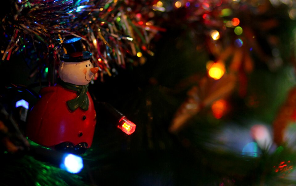 Winter christmas toy