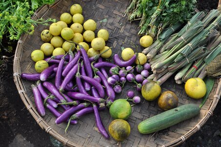 Food healthy nutrition