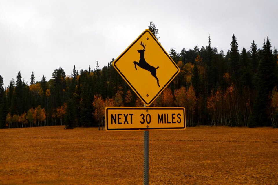 Road sign warning yellow
