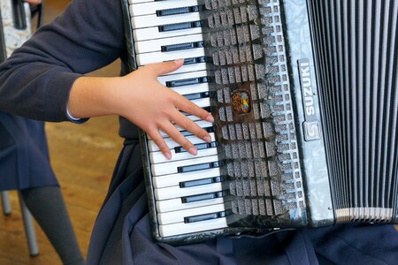 Music accordion performance