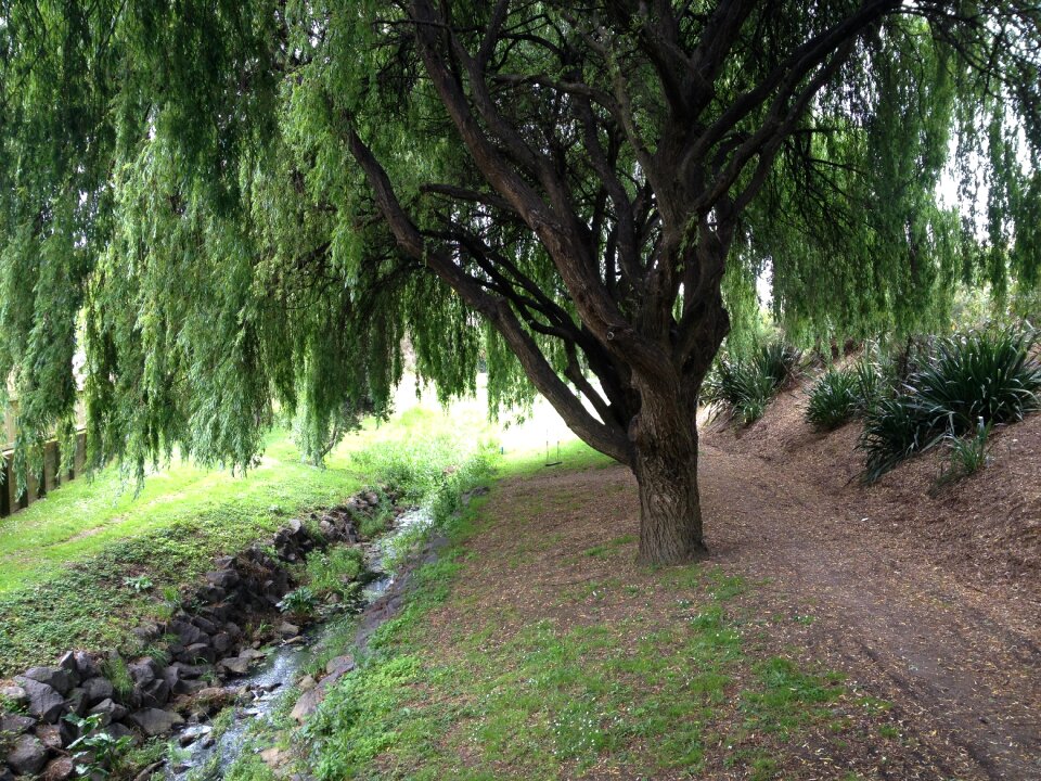 Stream creak green