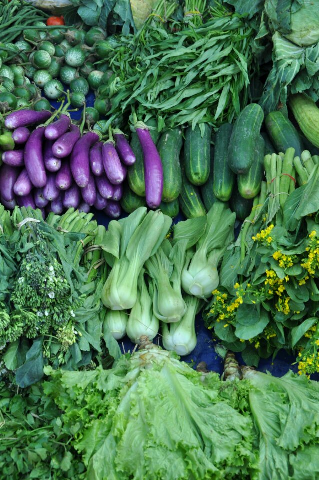 Healthy nutrition violet