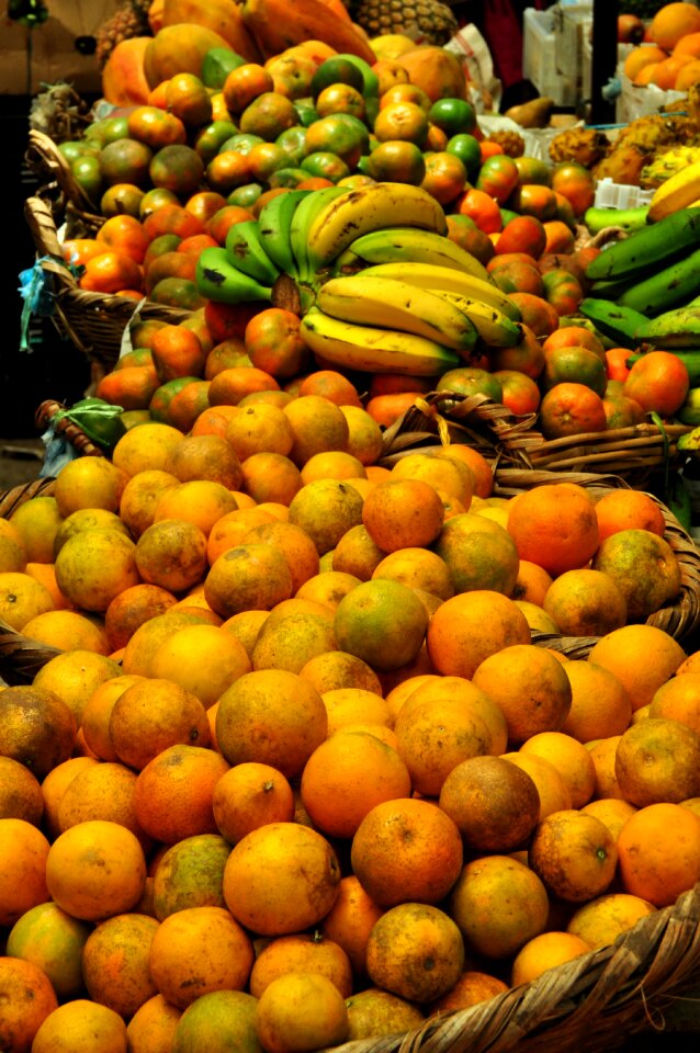 Food citrus naranjo