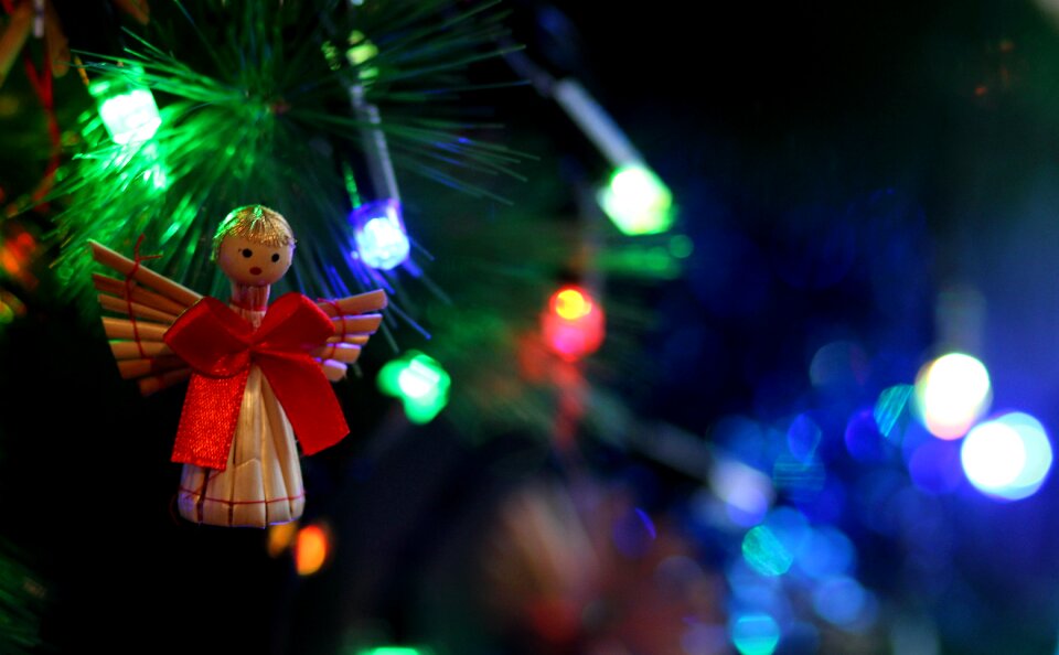 Winter christmas toy