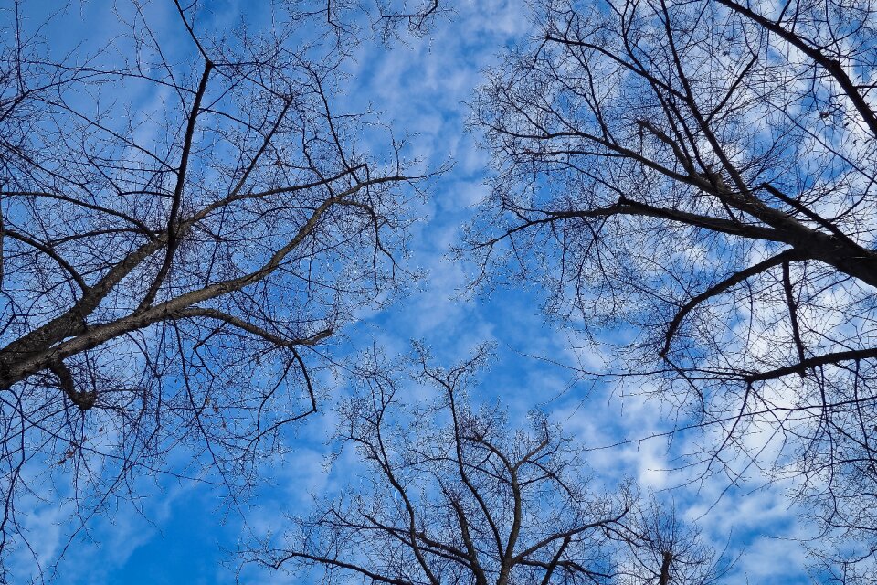 Nature landscape mood