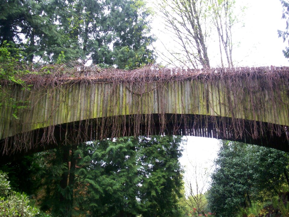 Old landmark wood