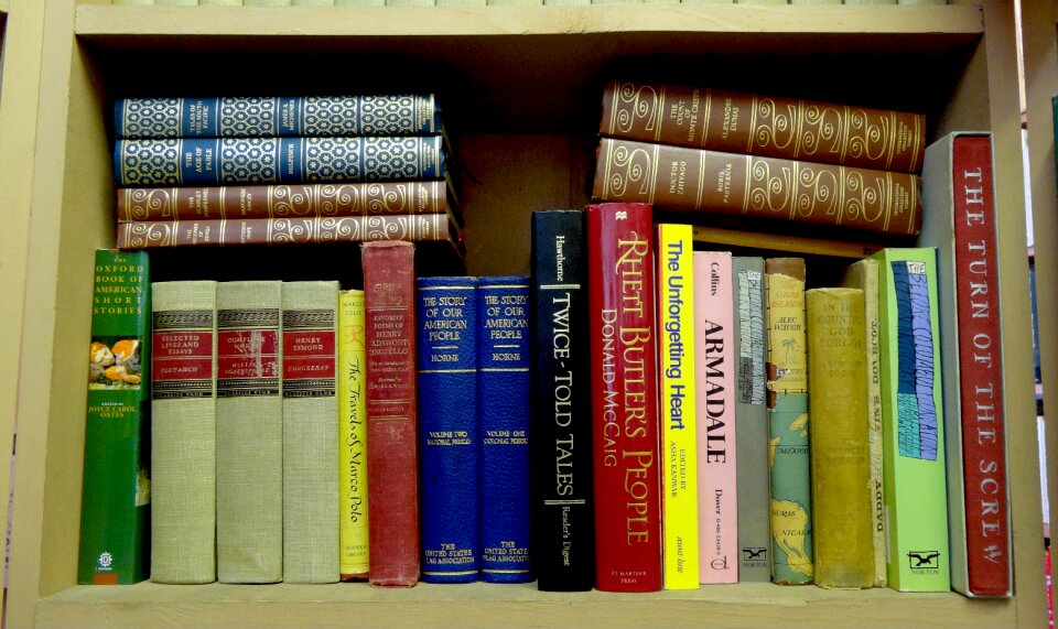 Shelf library book store photo
