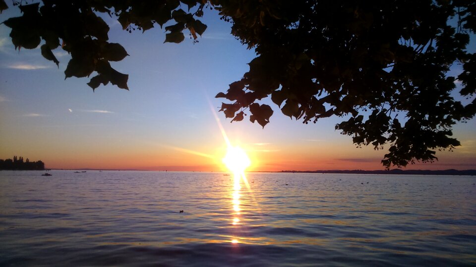 Setting sun nature abendstimmung photo