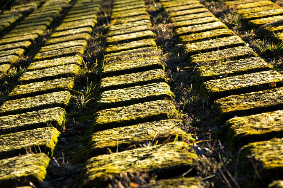 Nature close up stone