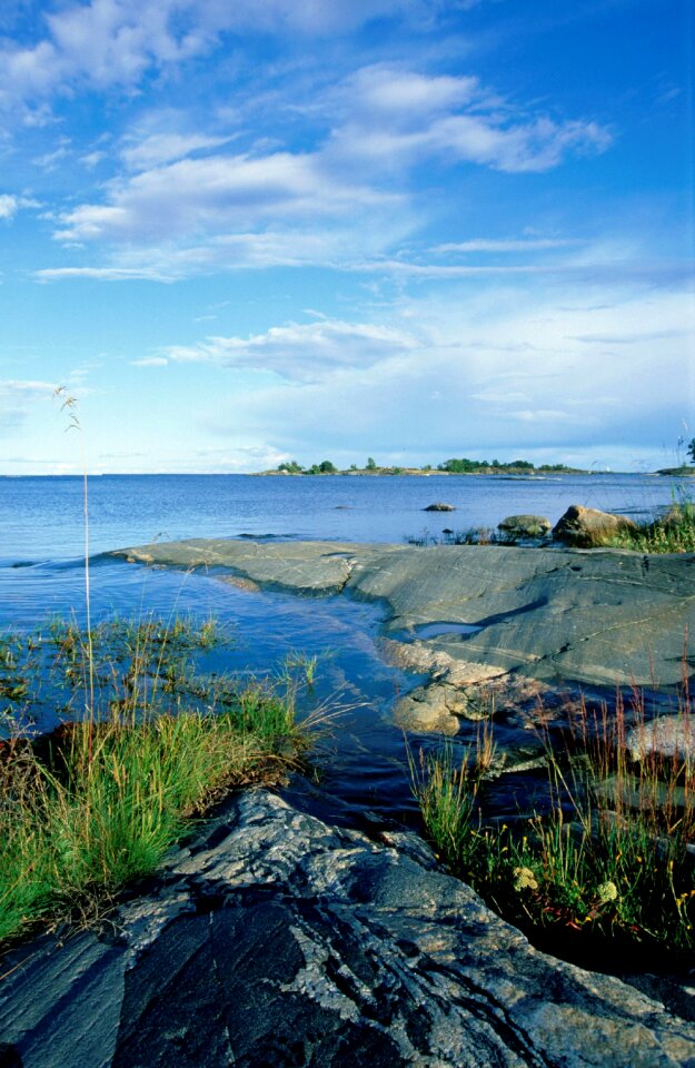 Rock gras water